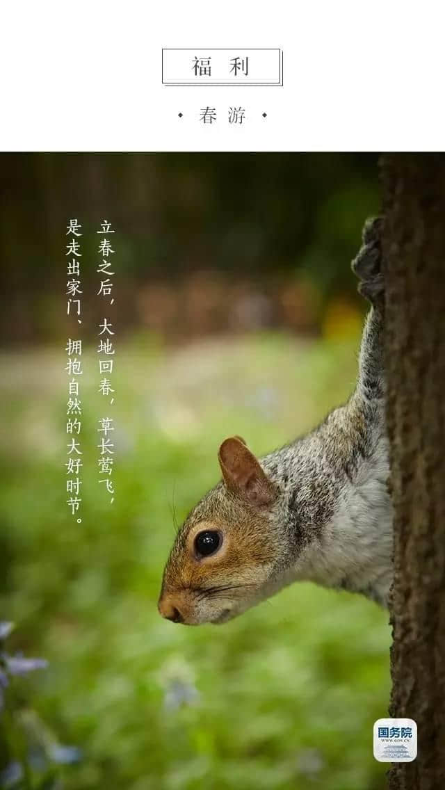 今日立春｜莺初解语，最是一年春好处