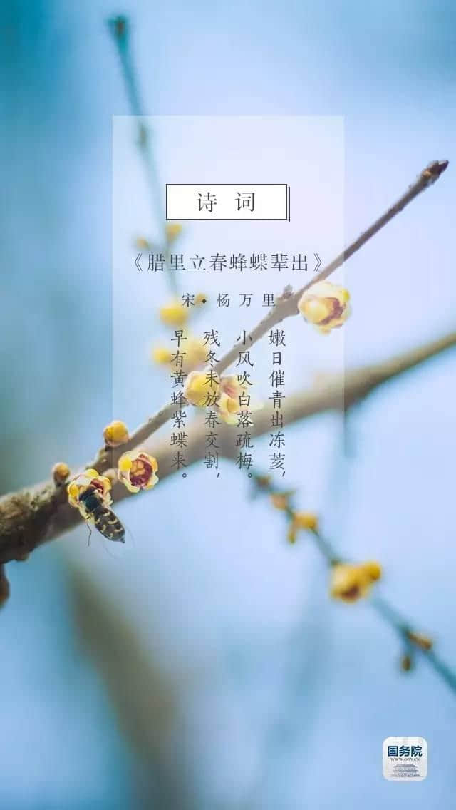 今日立春｜莺初解语，最是一年春好处