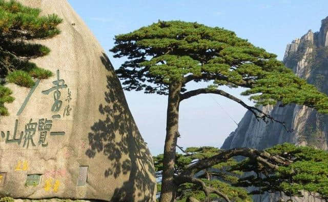 「原创诗词」刁节木 | 黄山览景—松枝竹叶随风舞 无限风光云彩中