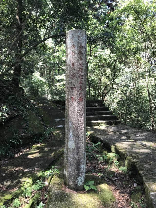 山涧小路，绿意盎然——黄山松谷庵至芙蓉岭游记