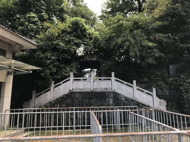 山涧小路，绿意盎然——黄山松谷庵至芙蓉岭游记