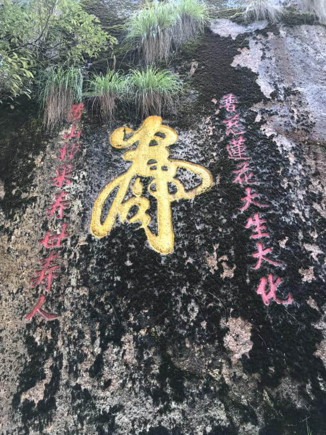 山涧小路，绿意盎然——黄山松谷庵至芙蓉岭游记