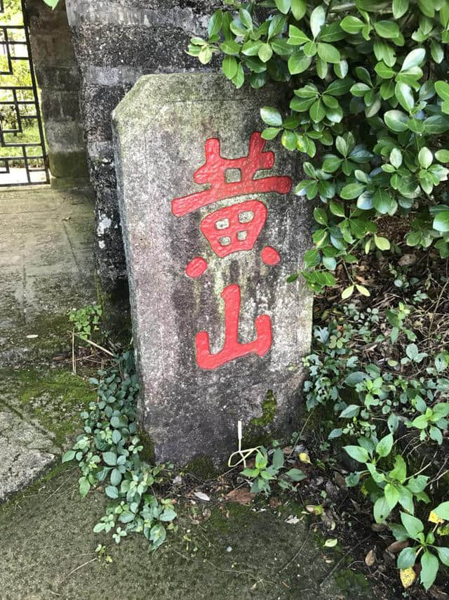 黄山松谷庵图片