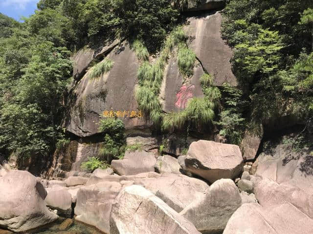 山涧小路，绿意盎然——黄山松谷庵至芙蓉岭游记