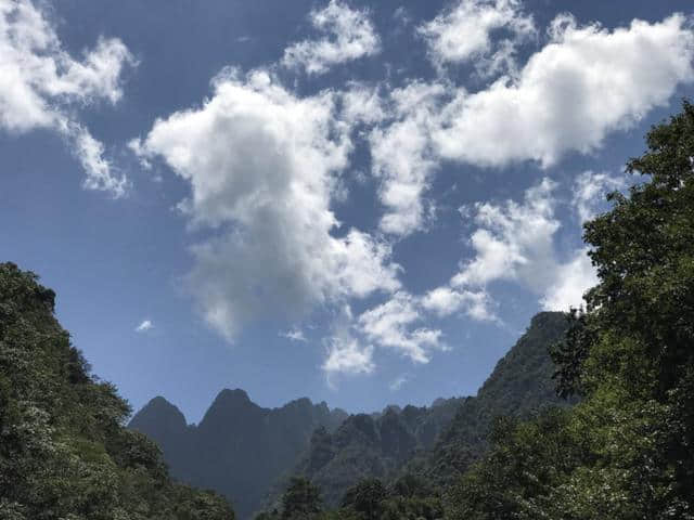 山涧小路，绿意盎然——黄山松谷庵至芙蓉岭游记