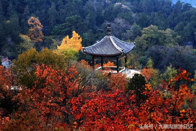 走进千年古刹——栖霞寺！中国四大赏枫胜地之一！