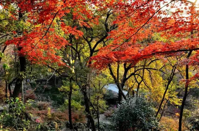 栖霞山，千万别错过！