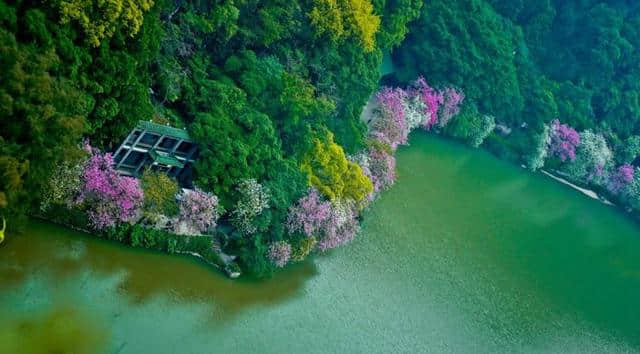 星湖风景名胜区：夏季打卡乐翻天，玩转鼎湖山七星岩