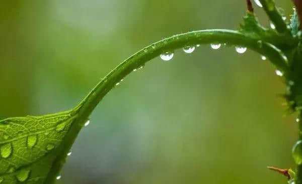 有心同读丨挥手从兹去，天广地阔！这就是省政协原副主席陈光的风雨情