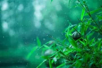 有心同读丨挥手从兹去，天广地阔！这就是省政协原副主席陈光的风雨情