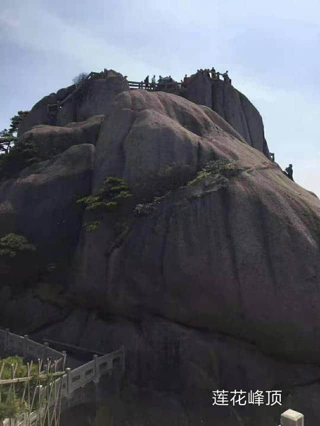 游记散文：黄山美景惹人醉