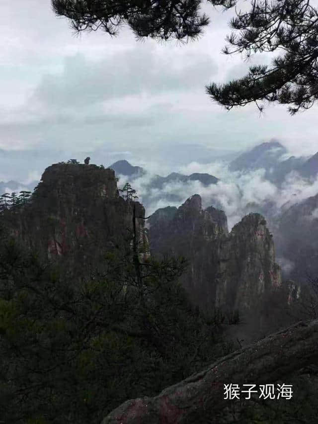 游记散文：黄山美景惹人醉