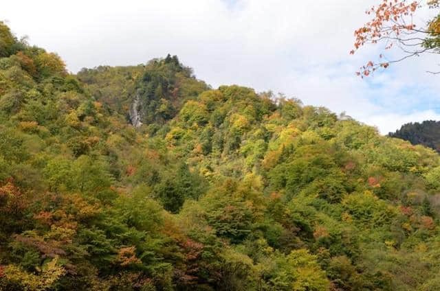 飞渡峡：秦岭大巴山深处的秘境