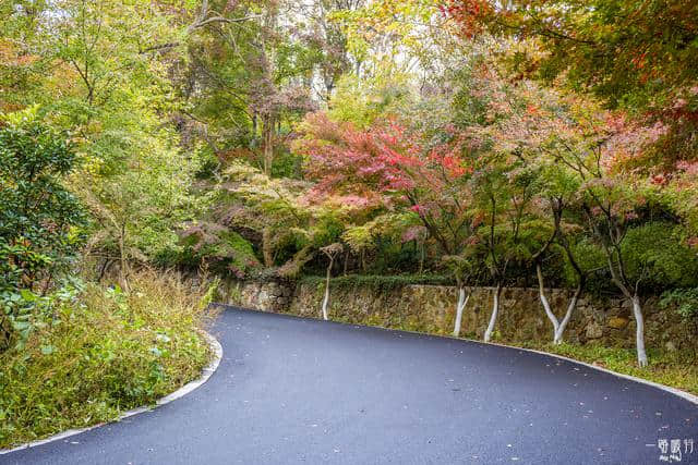 一座金陵城里286米的栖霞山，不要错过最佳赏红叶最适拍照的地方