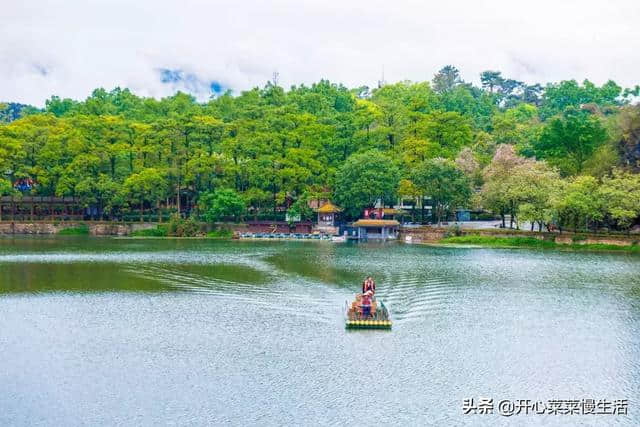 世上最良心5A景区，33元也能游肇庆七星岩