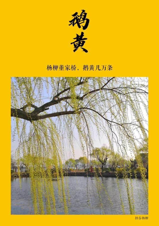 分享｜中国传统颜色-黄色篇