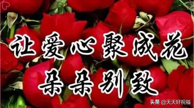 早上好，今天农历七月一日，祝福送给最在乎的你