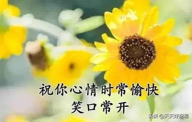 七月七日，今日小暑，祝福送上，谁打开谁幸福