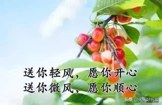 七月七日，今日小暑，祝福送上，谁打开谁幸福