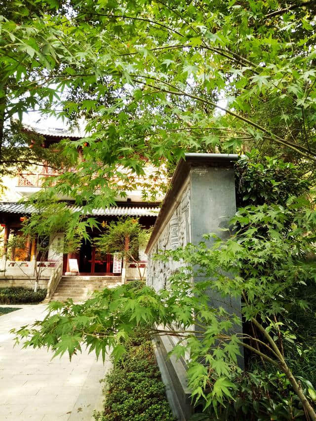 作为“南朝四百八十寺”之首的栖霞寺，即将迎来一年中最美的时候