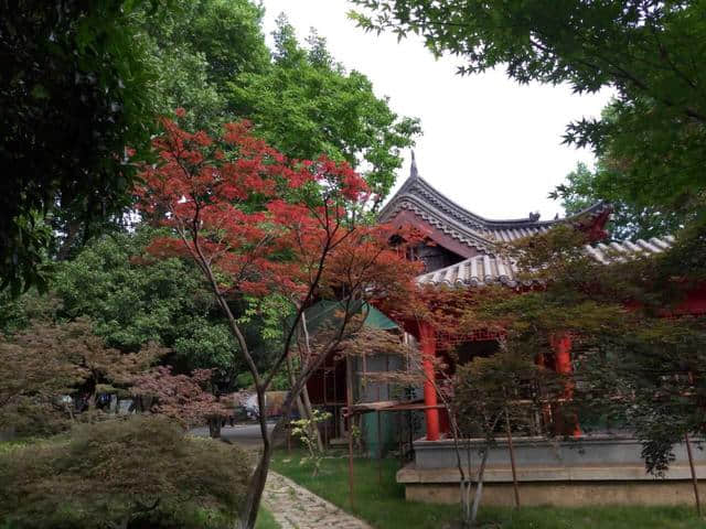 探访千年古寺——栖霞寺