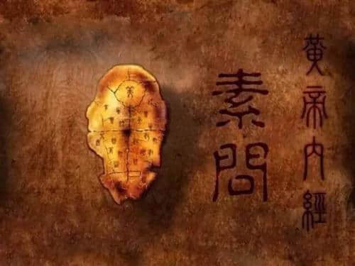 《黄帝内经·素问》——第43 痹论篇（对照参考译文）