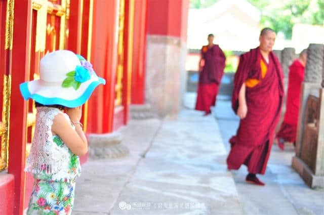 云朵里住着神仙——普宁寺之行