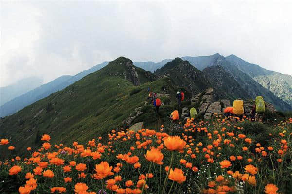 五台山旅游：南台普济寺