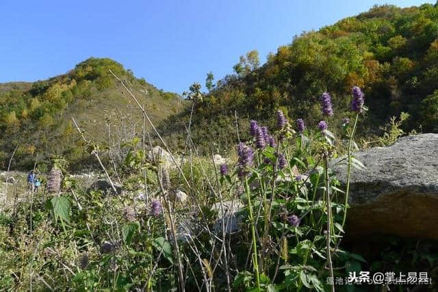 紫荆关蔡家峪山水自驾游