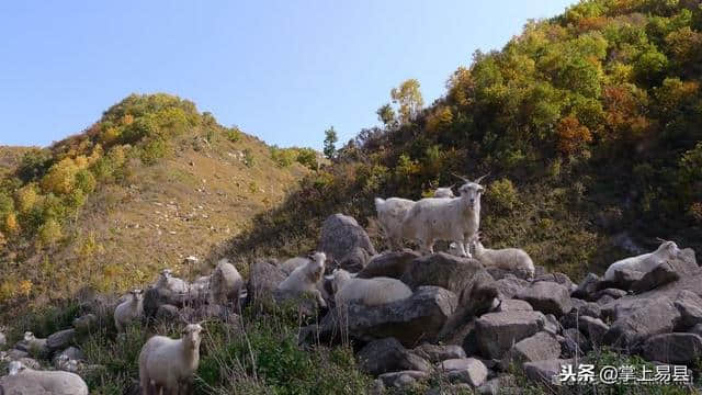 紫荆关蔡家峪山水自驾游