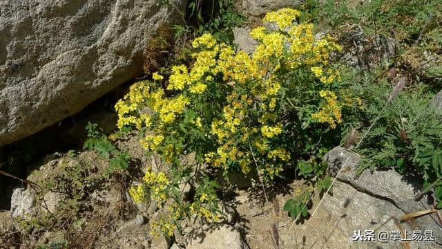 紫荆关蔡家峪山水自驾游