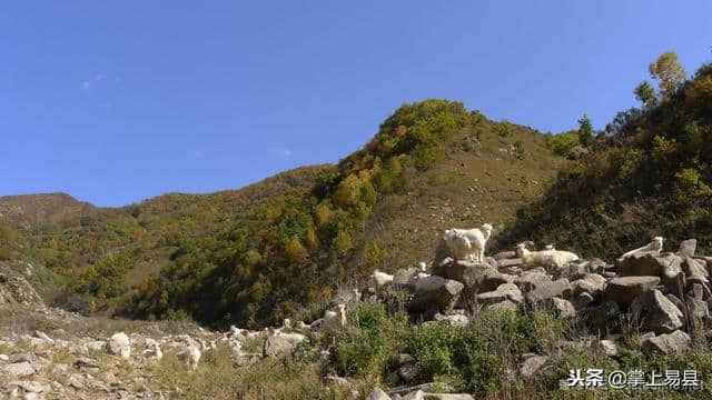 紫荆关蔡家峪山水自驾游