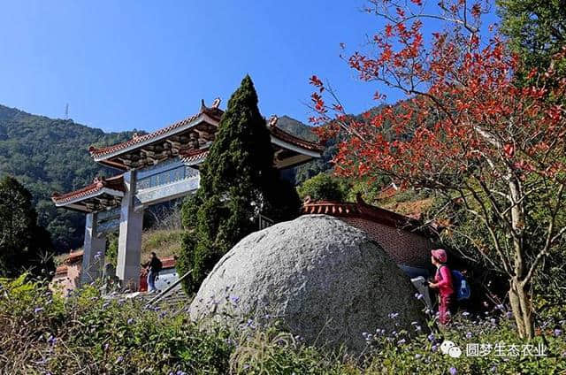 永春普济寺