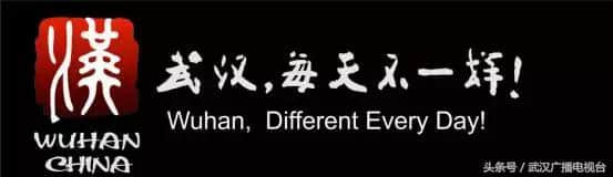 武汉广电全媒体第一枪 局长服务企业直播第一现场在手机