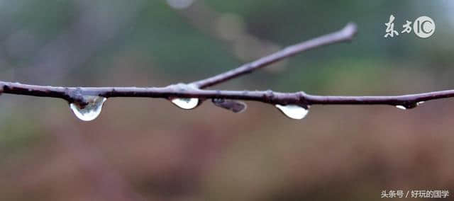 黄梅时节家家雨！那些经典写雨的古诗词！美到心底！