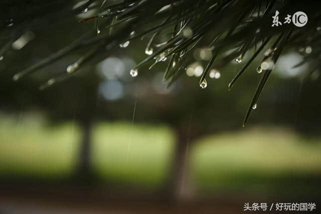 黄梅时节家家雨！那些经典写雨的古诗词！美到心底！