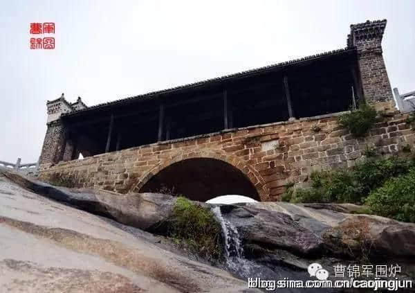 黄梅时节黄梅雨 黄梅风过黄梅肥 [清 梅雨田]