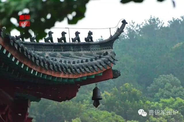 黄梅时节黄梅雨 黄梅风过黄梅肥 [清 梅雨田]