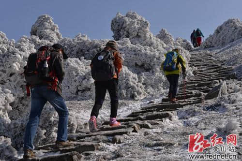 衡山：紫盖仙境雾凇奇景 邀您共赴冰雪狂欢