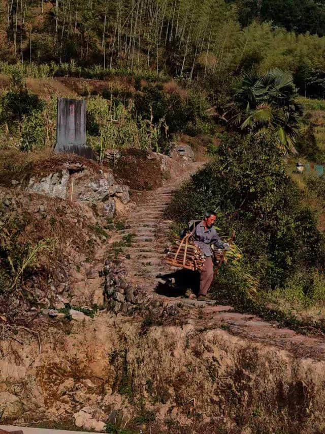 水之源，山之薪-----浦城县坑尾村