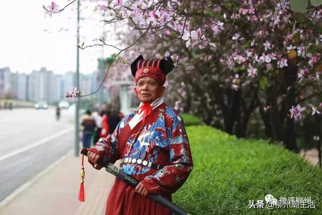 刚刚，最新大量紫荆花美图流出，刷屏柳州！