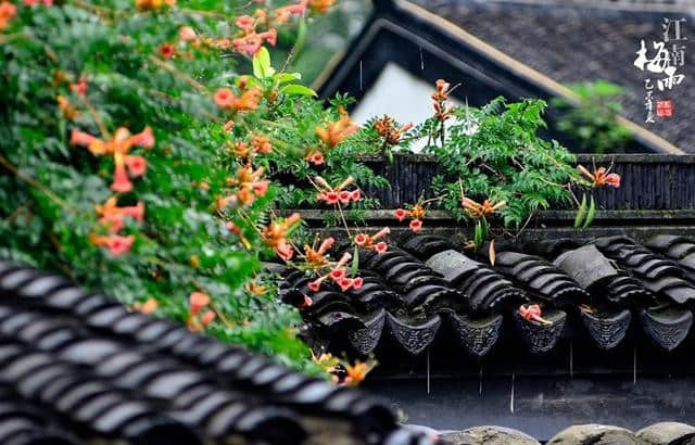 每天了解一种自然现象-梅雨