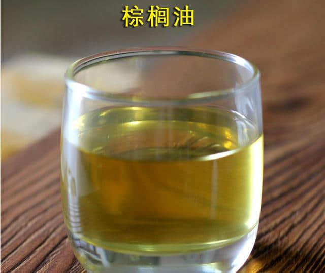 油棕树（棕榈油）的基本常识