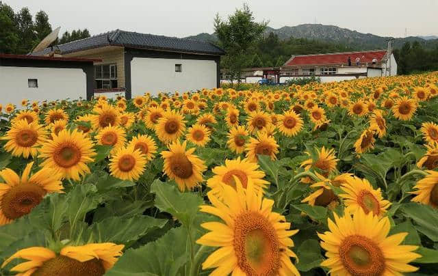 京南第一雄关——易县紫荆关