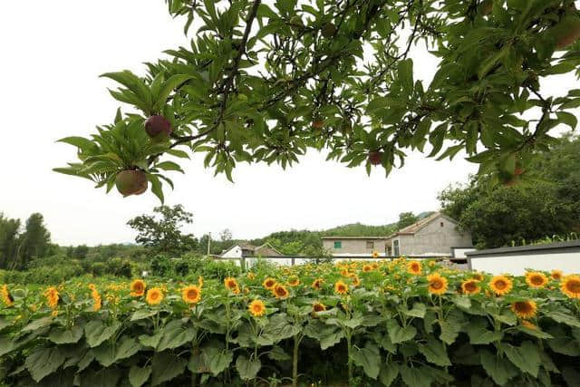 京南第一雄关——易县紫荆关