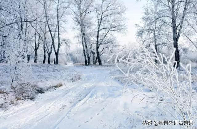 大雪纷飞时，让我们一起在大雪的诗词中，体会诗人的所思所想