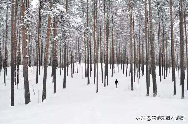 大雪纷飞时，让我们一起在大雪的诗词中，体会诗人的所思所想