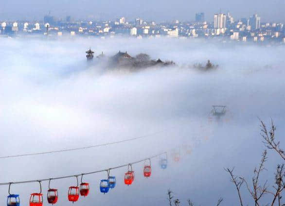 丹崖风夜瑞雪至，明月普照蓬莱山