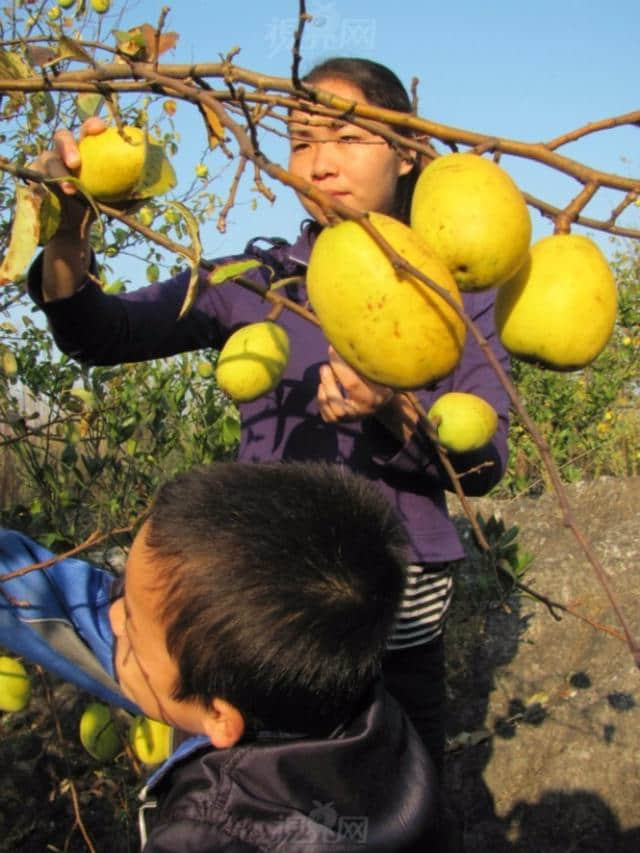 《诗经丨卫风丨木瓜》：记得你的笑，记得你的好