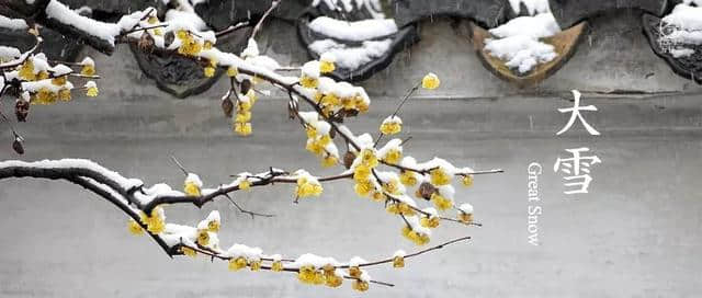 大雪读诗｜晚来天欲雪，能饮一杯无？